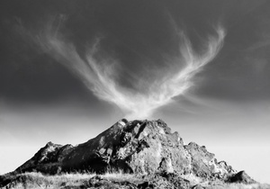 Dach des Apollon (C) Bjarne Geiges