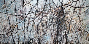 Winterwald, Felicitas Math (C) M. Kpfer